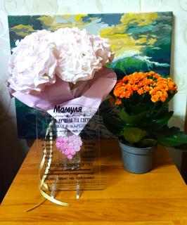 1 Стотик Анна